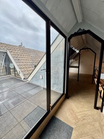 IMG_1269 2 Medium.jpeg